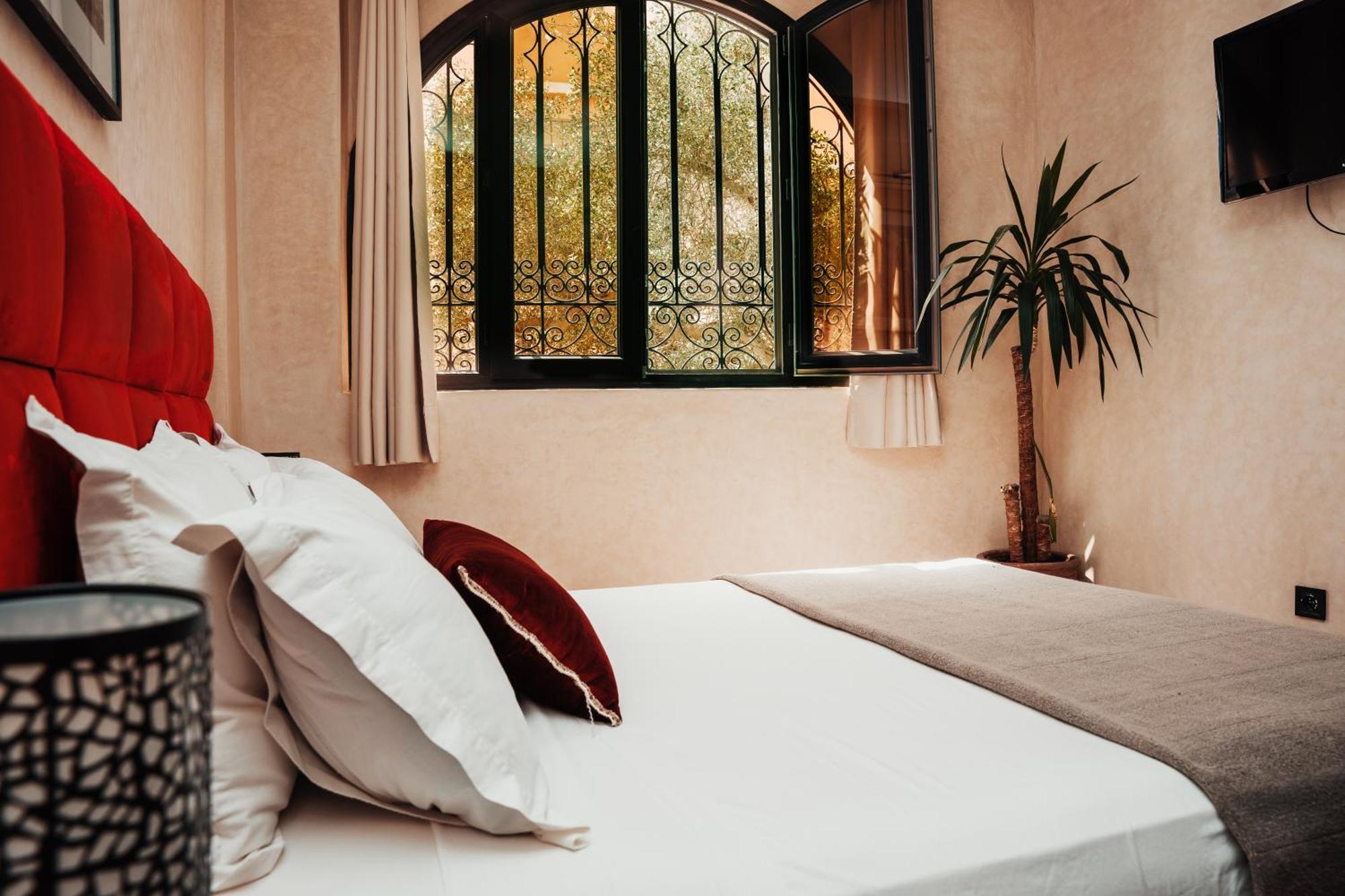 Auberge Riad Dlim Tamraght ภายนอก รูปภาพ